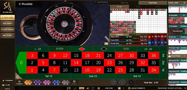 Casino Roulette